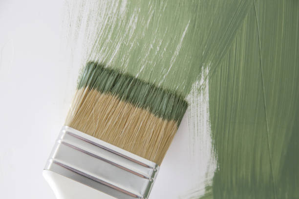 Best Emergency Mold Remediation  in Canby, OR