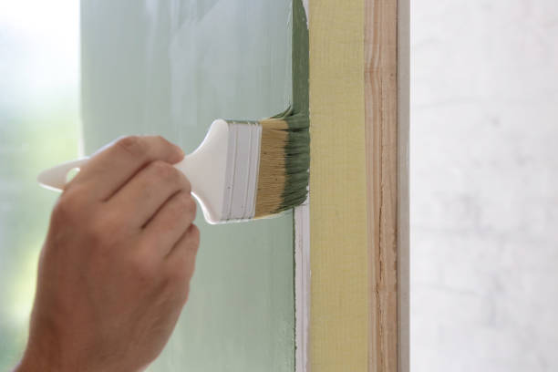 Best Black Mold Removal  in Canby, OR