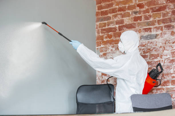 Best Mold Odor Removal Services  in Canby, OR