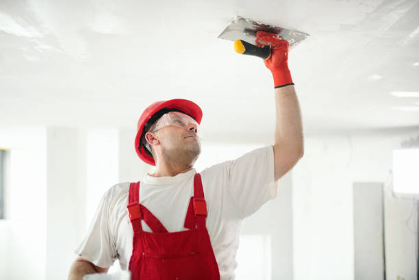 Best Water Damage & Mold Remediation  in Canby, OR