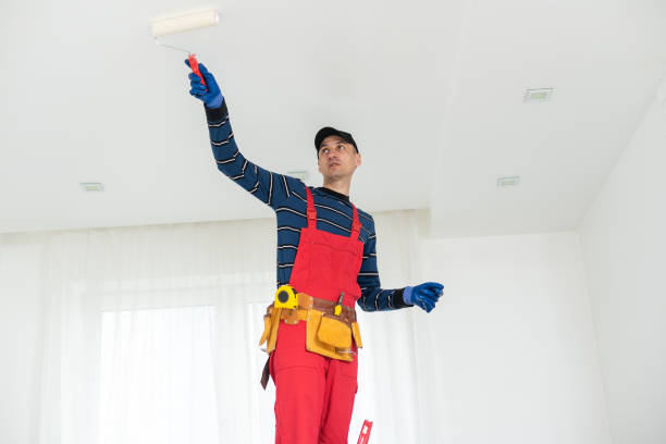 Best Mold Remediation for Healthcare Facilities  in Canby, OR