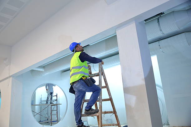 Best Industrial Mold Remediation  in Canby, OR