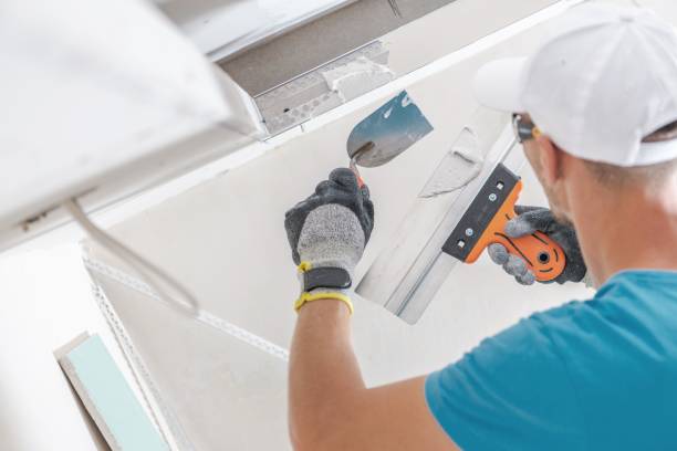 Best Commercial Mold Inspection  in Canby, OR
